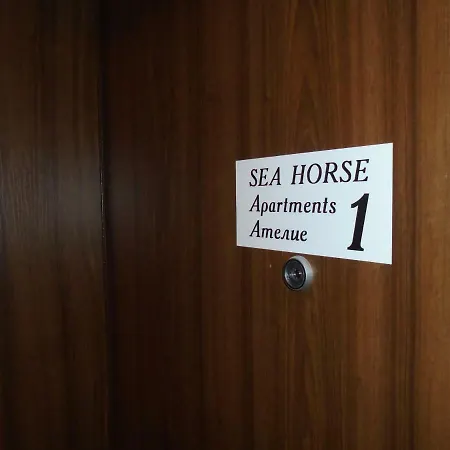 Sea Horse * ブルガス